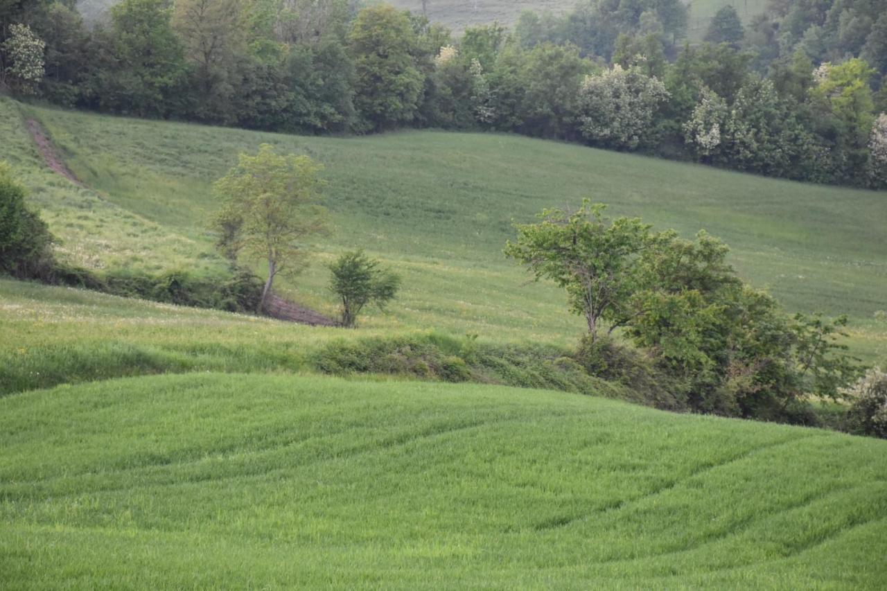 Locanda Sottolaluna Viano المظهر الخارجي الصورة